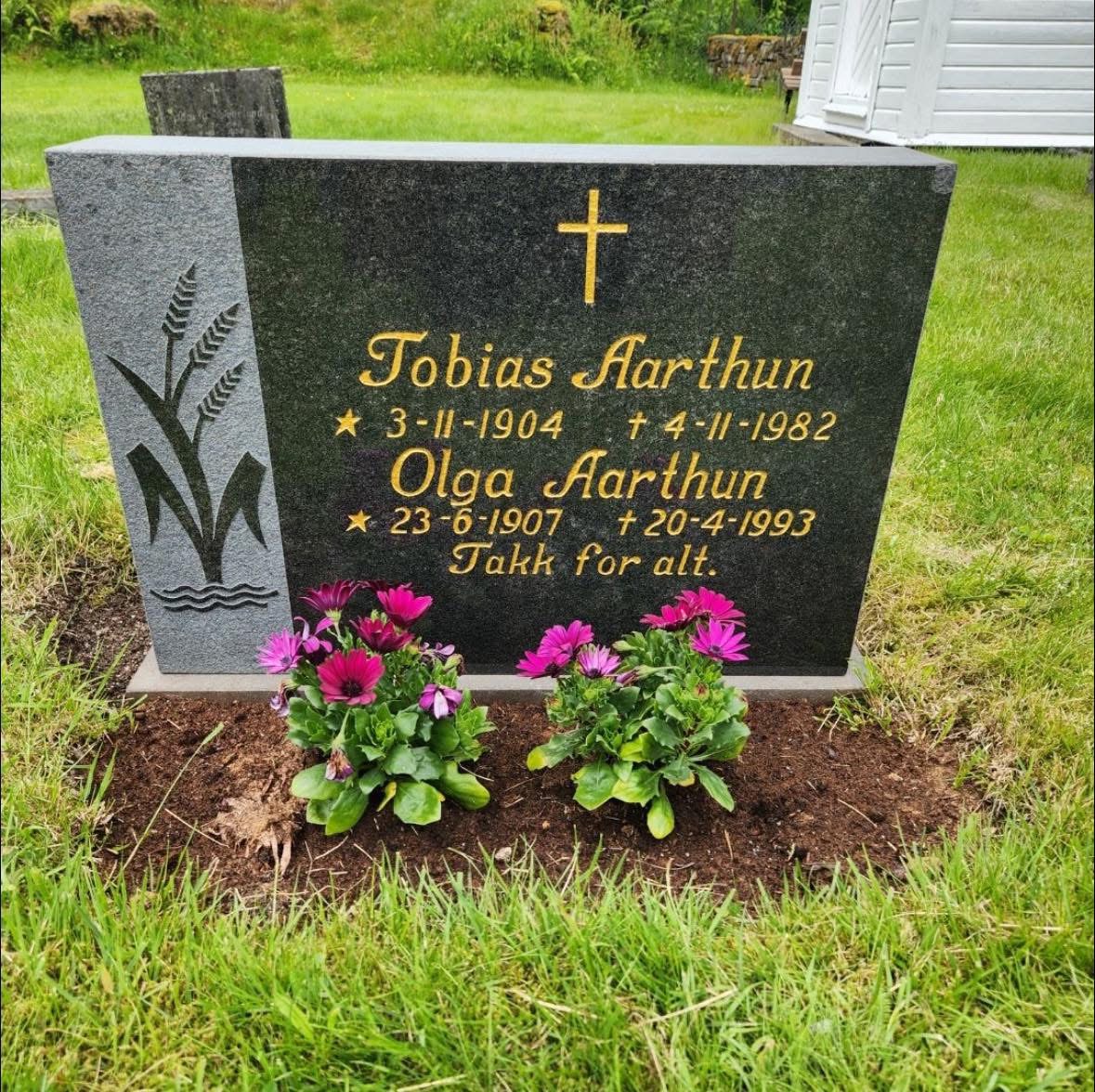 image4